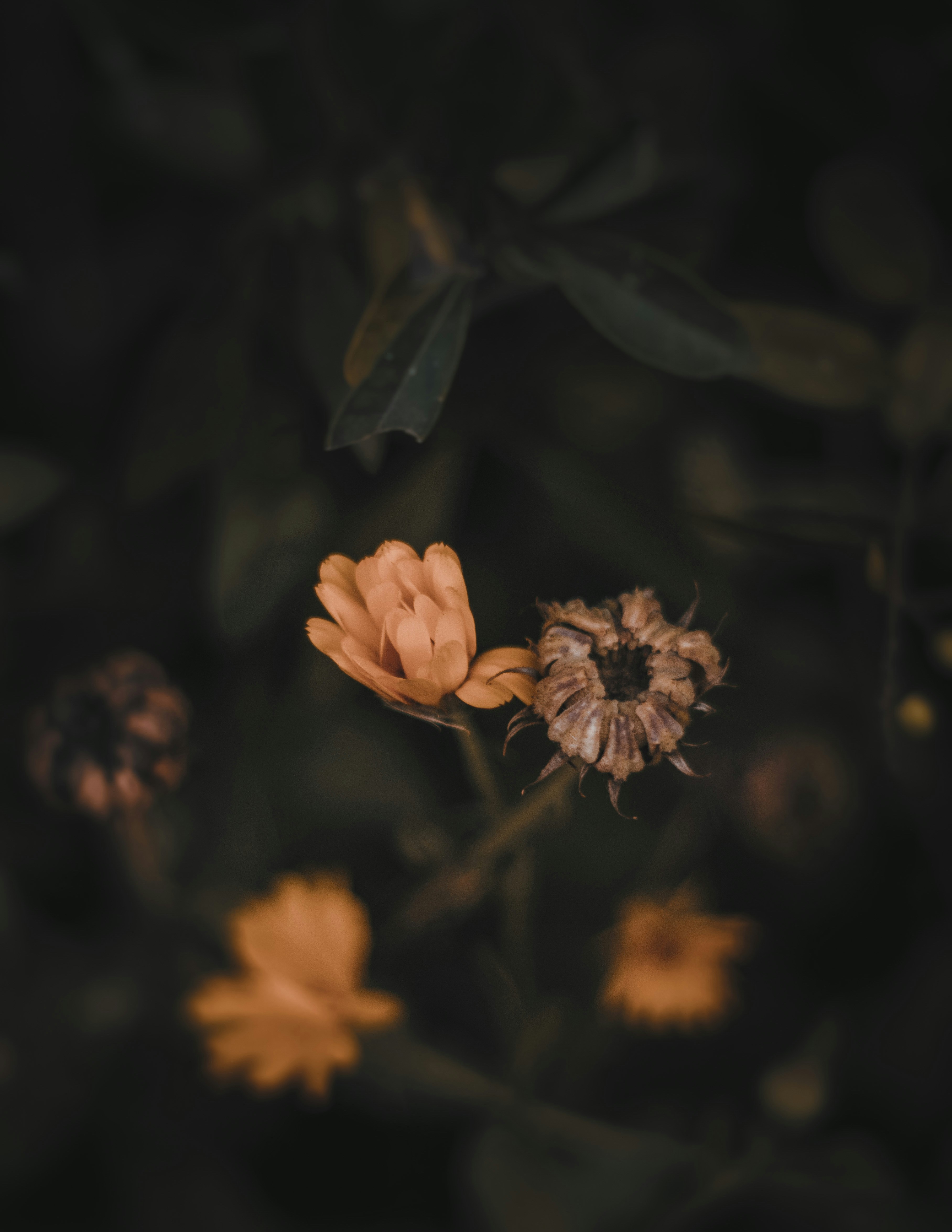 Photo by lindachrphotography