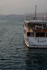 A large boat named 'Elizabeth Zadar' is docked in calm waters. The boat's hull features colorful designs, and it has multiple decks including visible safety equipment. The backdrop includes a serene expanse of water extending towards a mountainous horizon under a light sky.