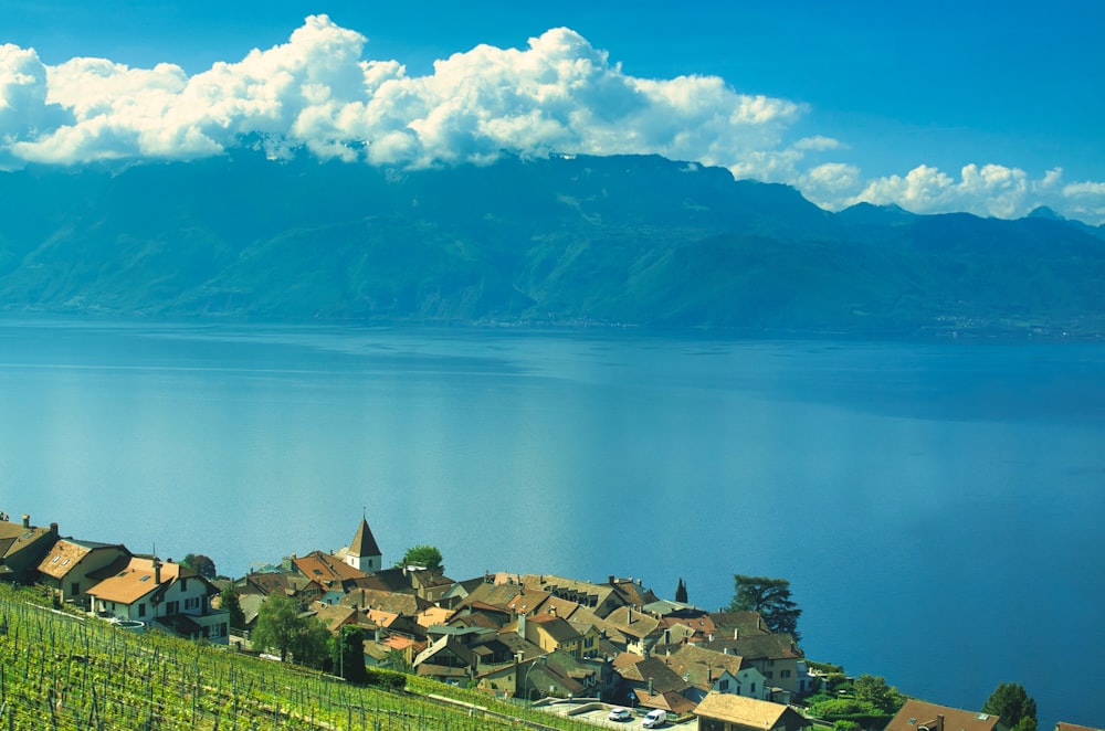 campo di erba verde vicino al lago sotto il cielo blu durante il giorno