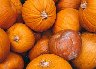 orange pumpkins on black plastic container