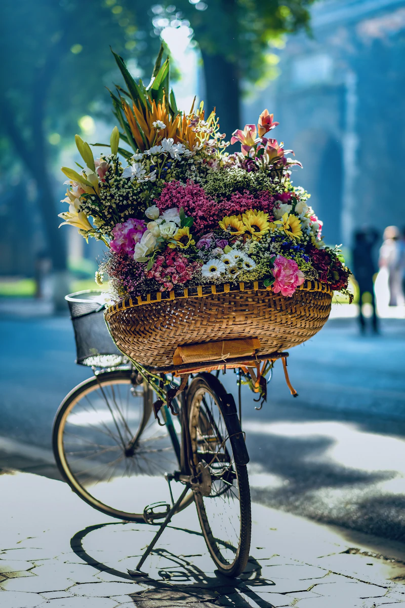 Blumen auf Fahrrad in der Stadt