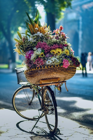 flowers in brown woven basket on bicycle
