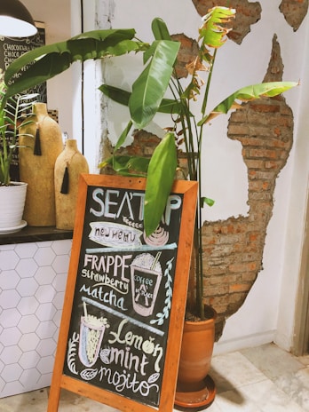 A cozy cafe setting features a wooden-framed chalkboard displaying a handwritten menu with items like frappe, strawberry matcha, lemon mint, and mojito. Surrounding the chalkboard are potted plants with broad green leaves, enhancing the warm and inviting atmosphere. A rustic wall with exposed brick adds to the charm.
