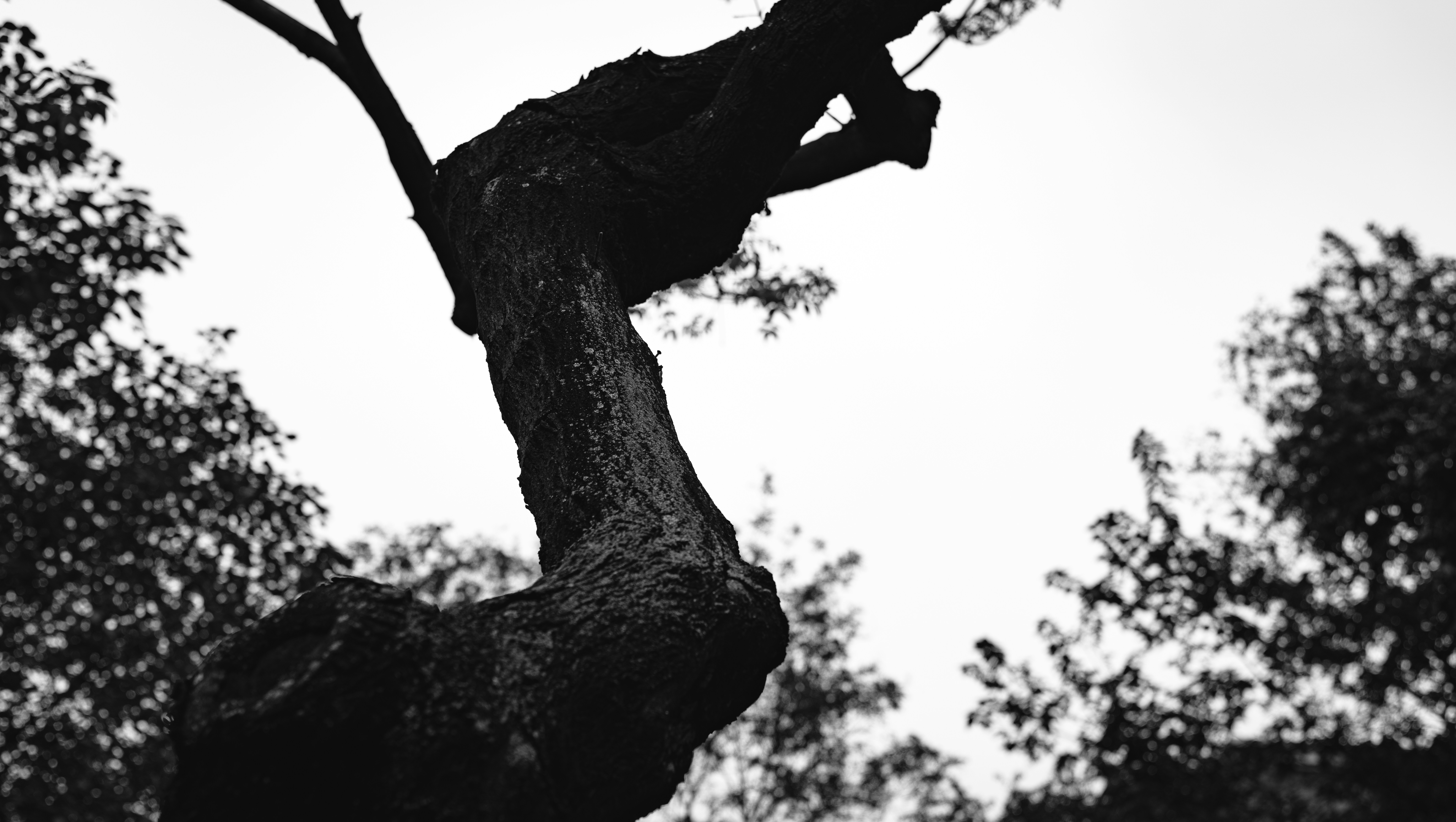 Photo by northwoodn