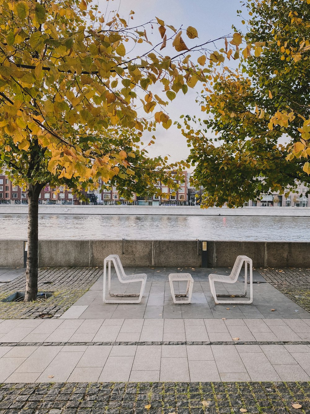 white wooden bench near green trees during daytime