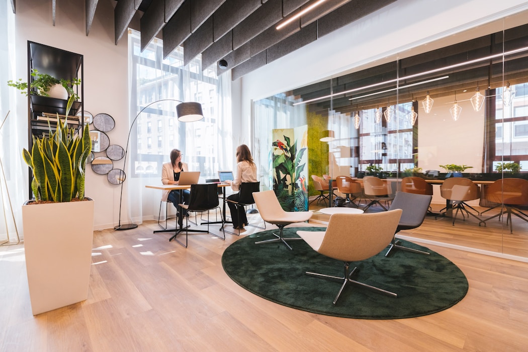 Healthy indoor plants in a well-maintained office space by CityMali