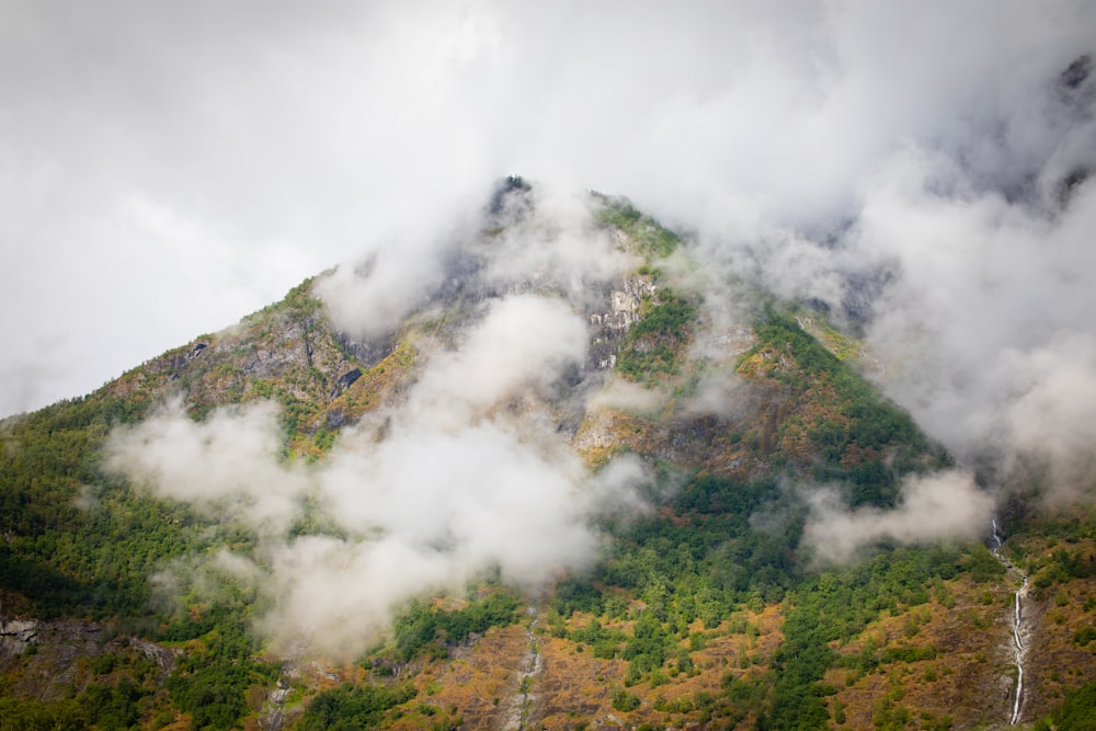 green trees on mountain under white clouds during daytime