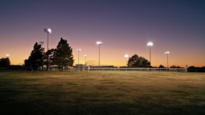 green grass field with trees and light posts during night time