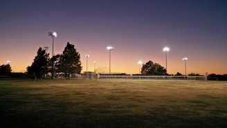 green grass field with trees and light posts during night time