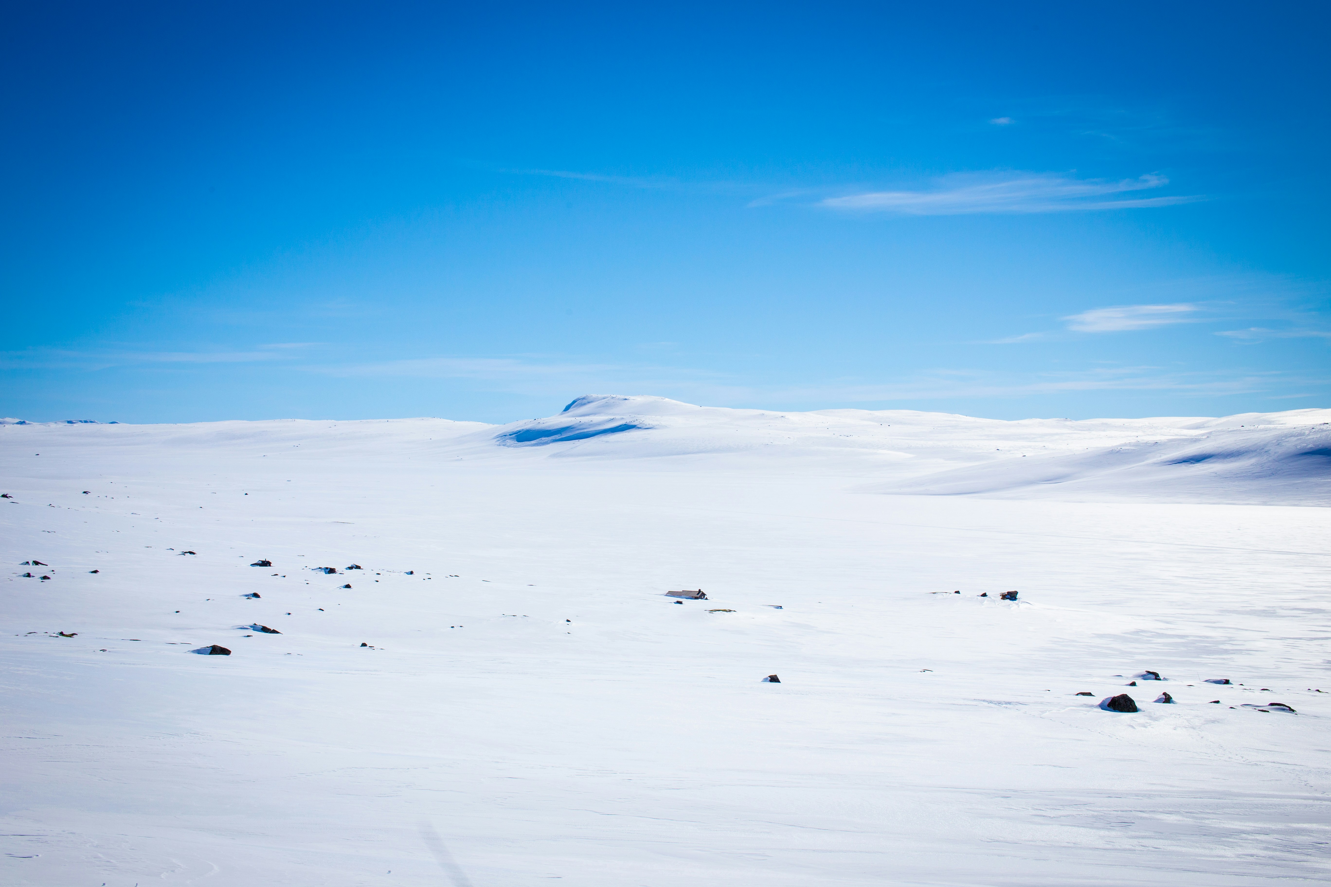Polar Deserts: The Cold, Forgotten Kind (image credits: unsplash)