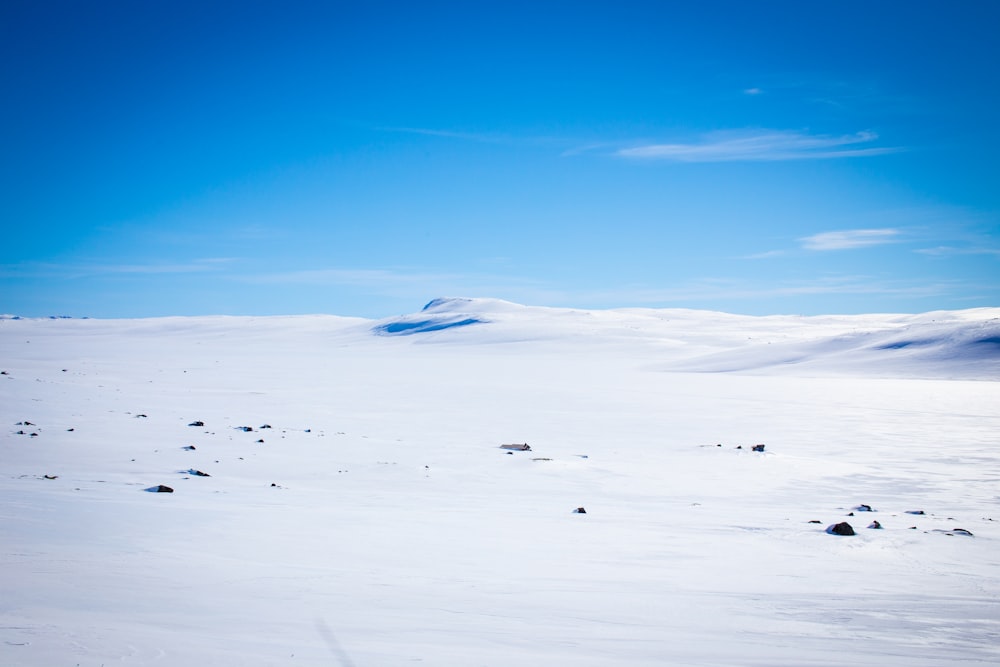 white snow covered field under blue sky during daytime