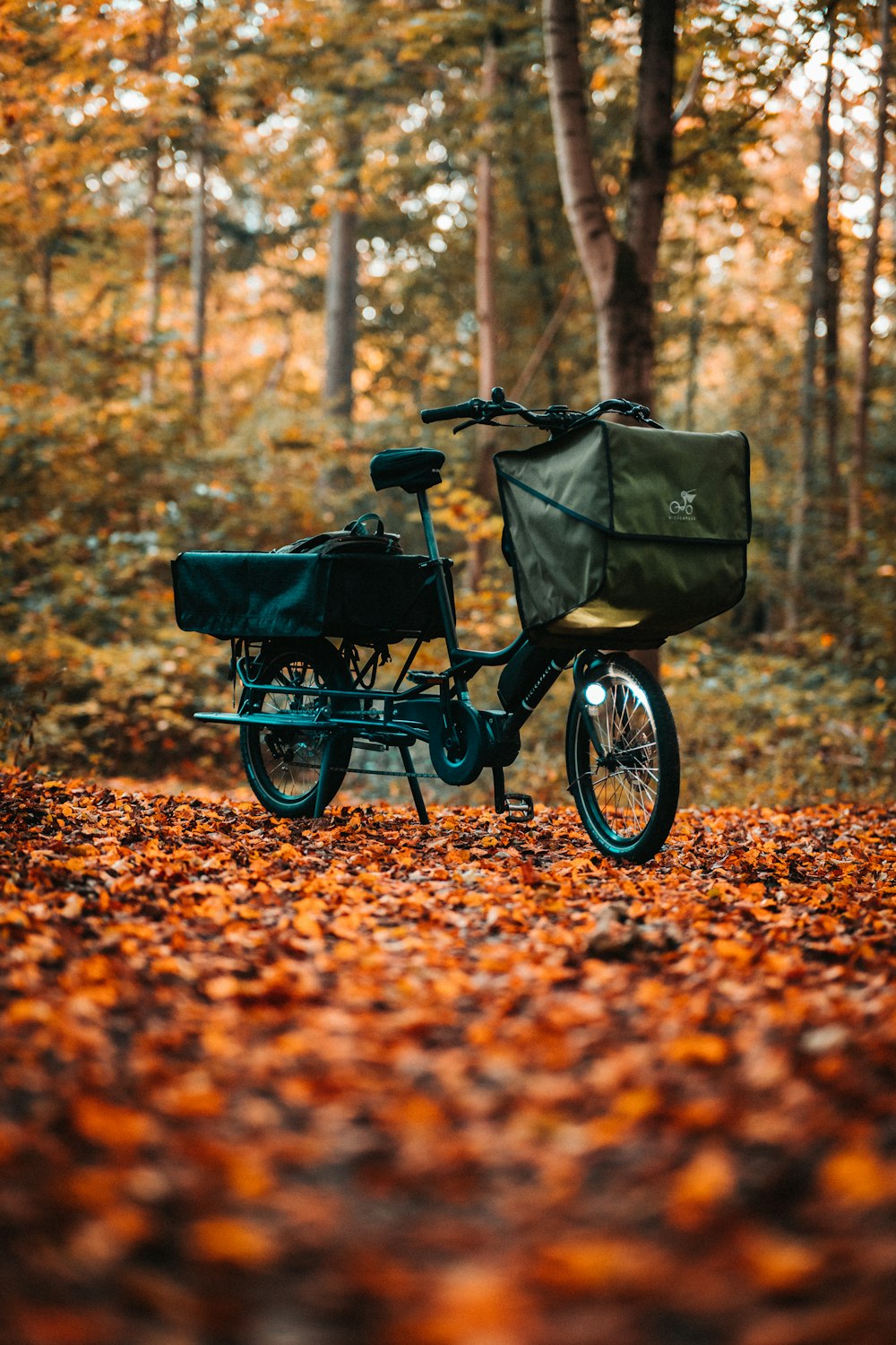 black and blue bicycle on brown dried leaves during daytime