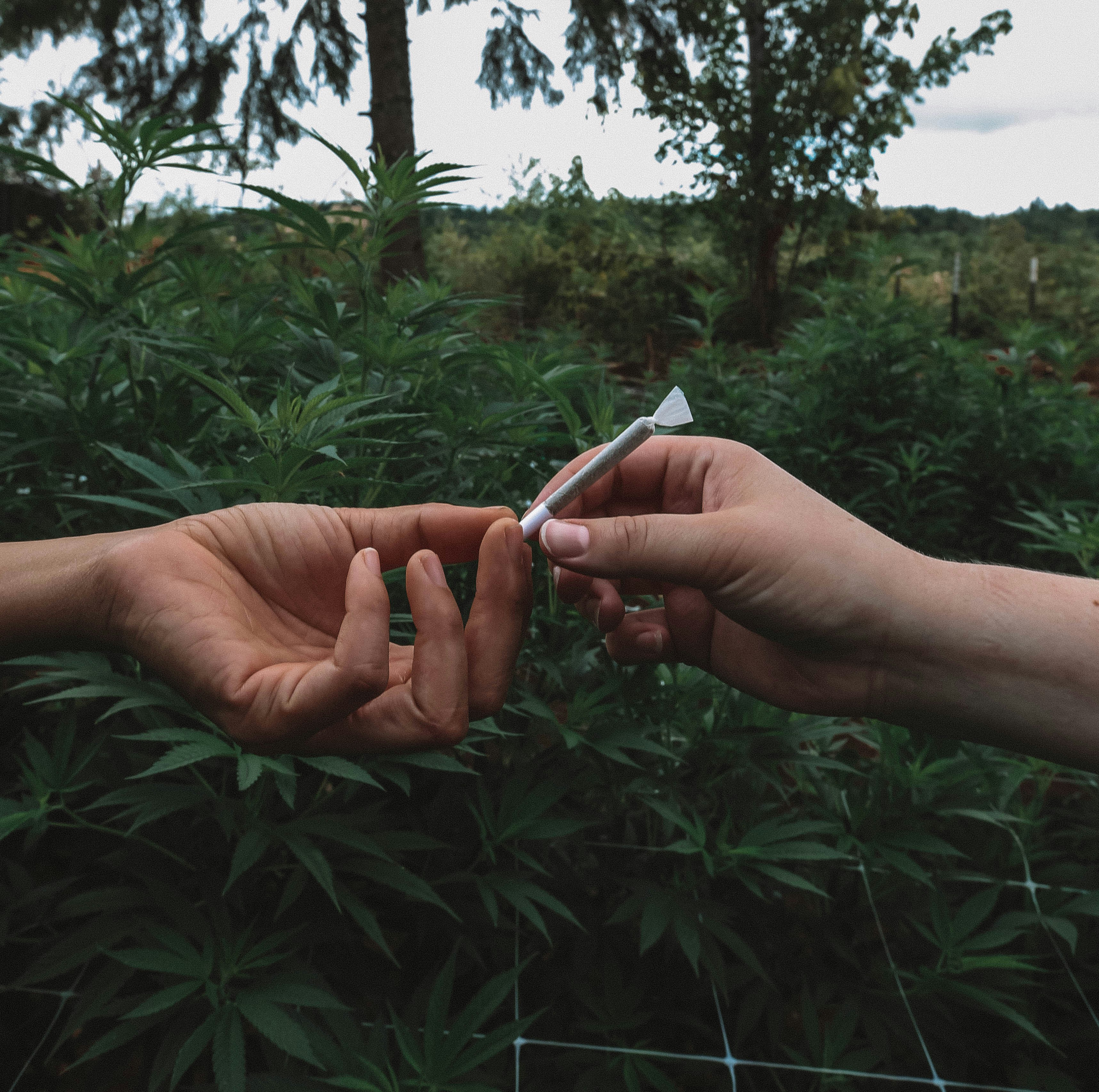 photo-1604329113650-b7ebd0fb2da8?ixid=M3wxMjA3fDB8MXxzZWFyY2h8M3x8ZHJ1ZyUyMGludGVyYWN0aW9ufGVufDB8fHx8MTc1NjY5MjgyNHww\u0026ixlib=rb-4.1.0