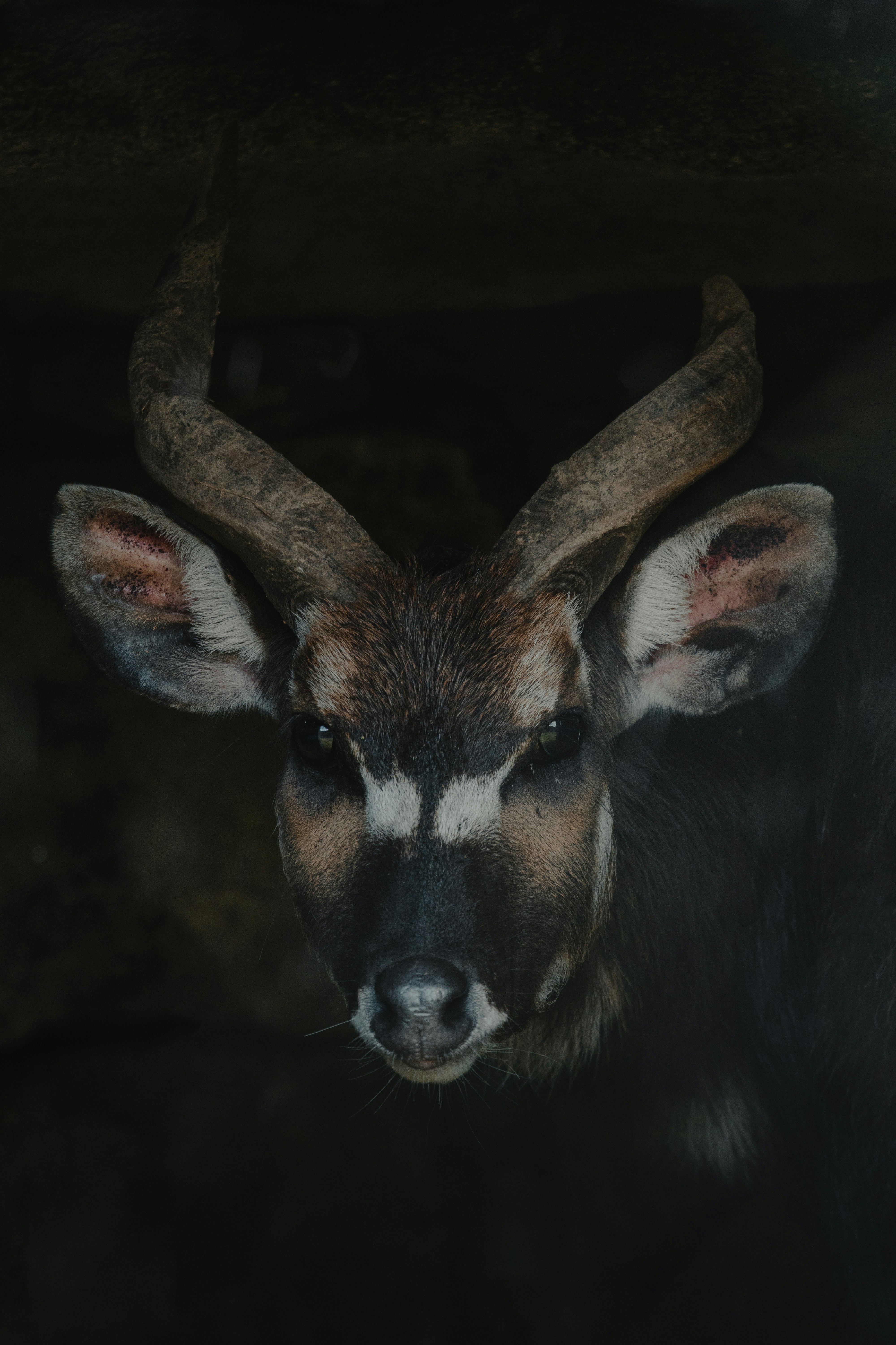 Photo by landedition