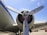 Close-up view of an airplane propeller and engine with a blue sky background. The propeller blades are metallic with a slight sheen, and the engine casing is cylindrical with visible bolts and components. Part of the aircraft's fuselage features a striped design.