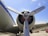 Close-up view of an airplane propeller and engine with a blue sky background. The propeller blades are metallic with a slight sheen, and the engine casing is cylindrical with visible bolts and components. Part of the aircraft's fuselage features a striped design.