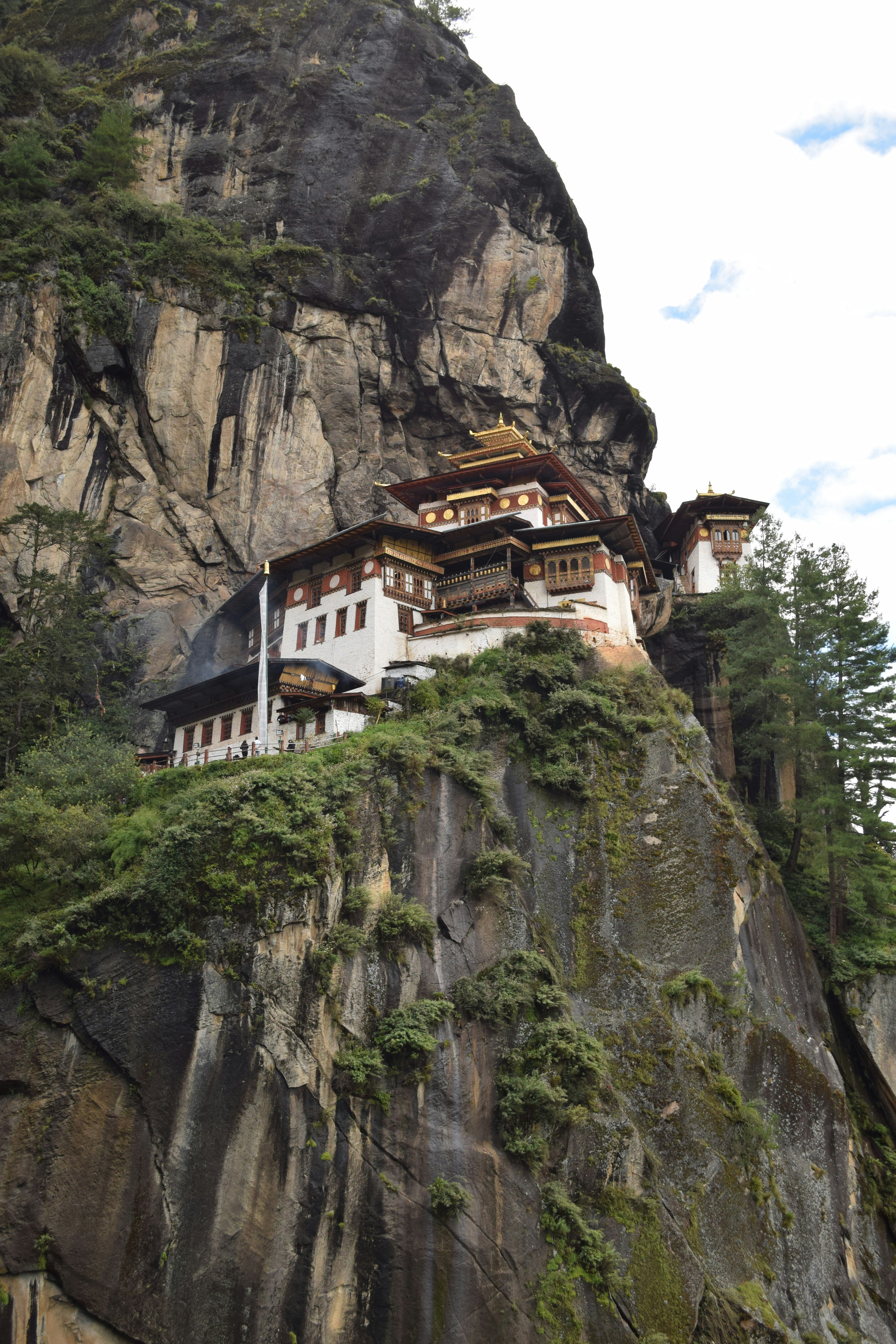 Ancient Himalayan monastery with white-washed walls and golden roof ornaments perched dramatically on rocky mountainside in Bhutan, surrounded by dense pine forests and misty mountain peaks