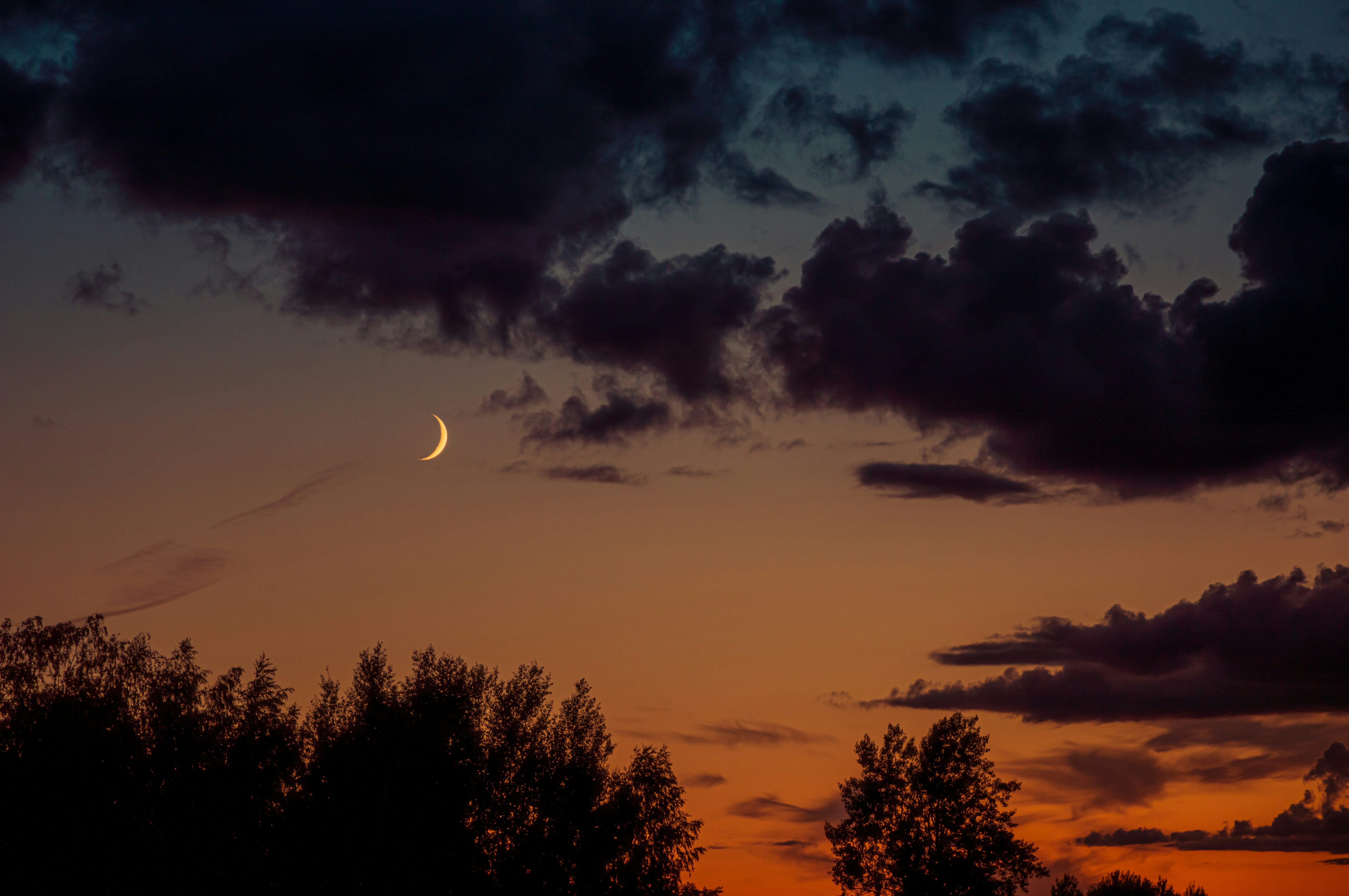 Photo by juoda_morka