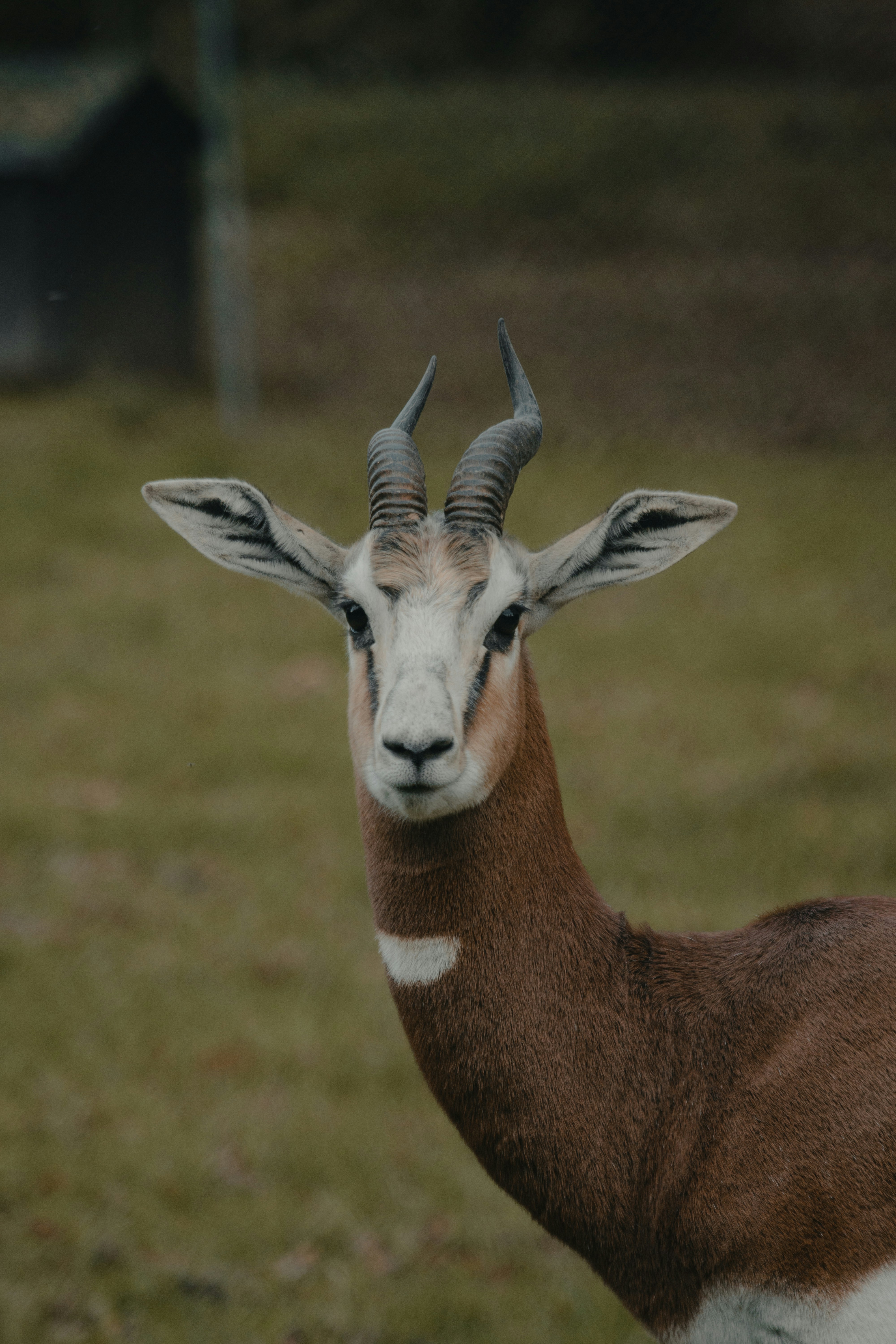 Photo by landedition