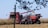 A red combine harvester and tractor with a grain cart are working together in a cornfield under a clear blue sky. The harvester is transferring harvested corn into the cart, and the scene is bordered by branches with leaves in the foreground.
