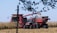 A red combine harvester and tractor with a grain cart are working together in a cornfield under a clear blue sky. The harvester is transferring harvested corn into the cart, and the scene is bordered by branches with leaves in the foreground.