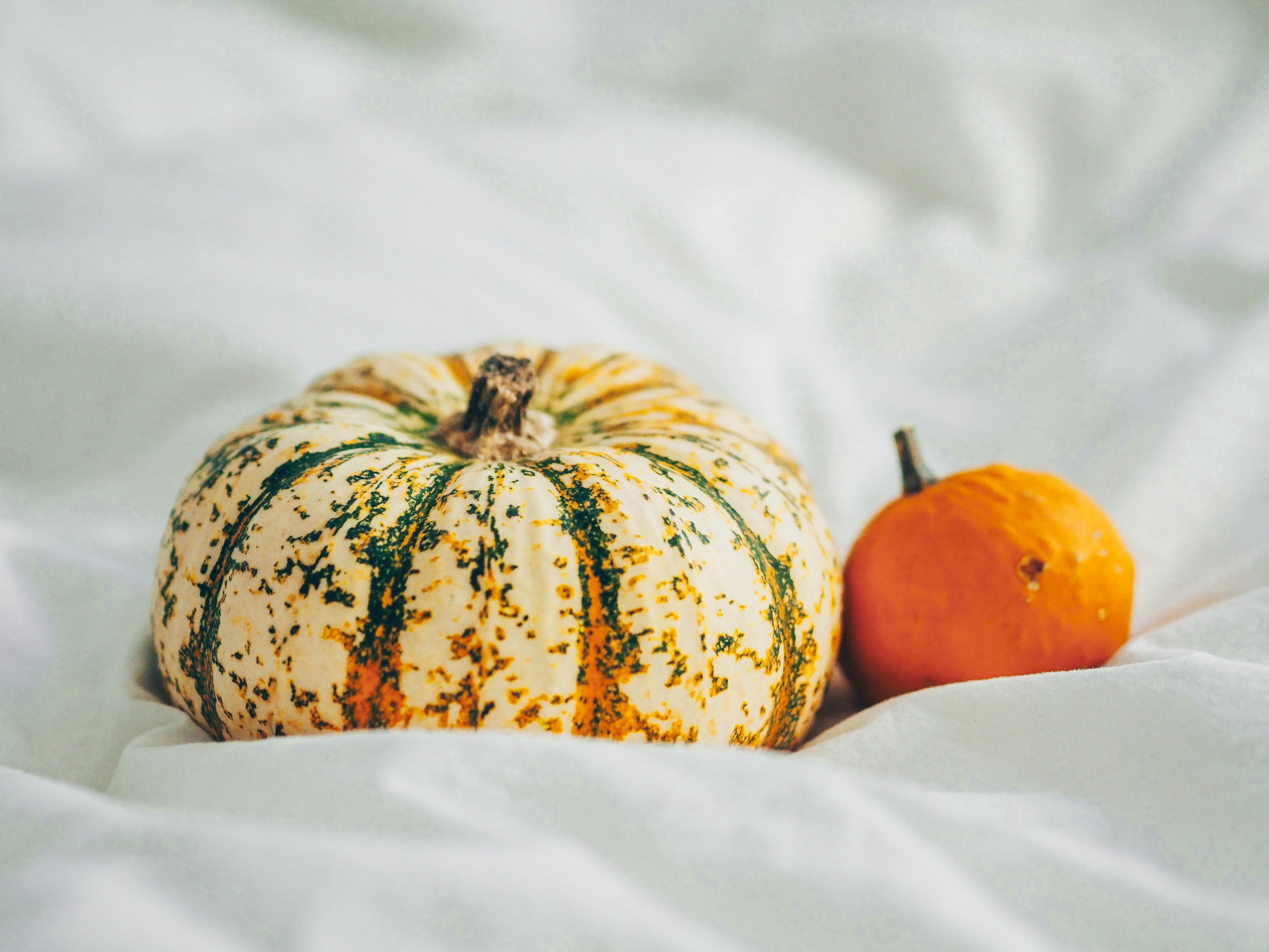 Photo by laurachouette