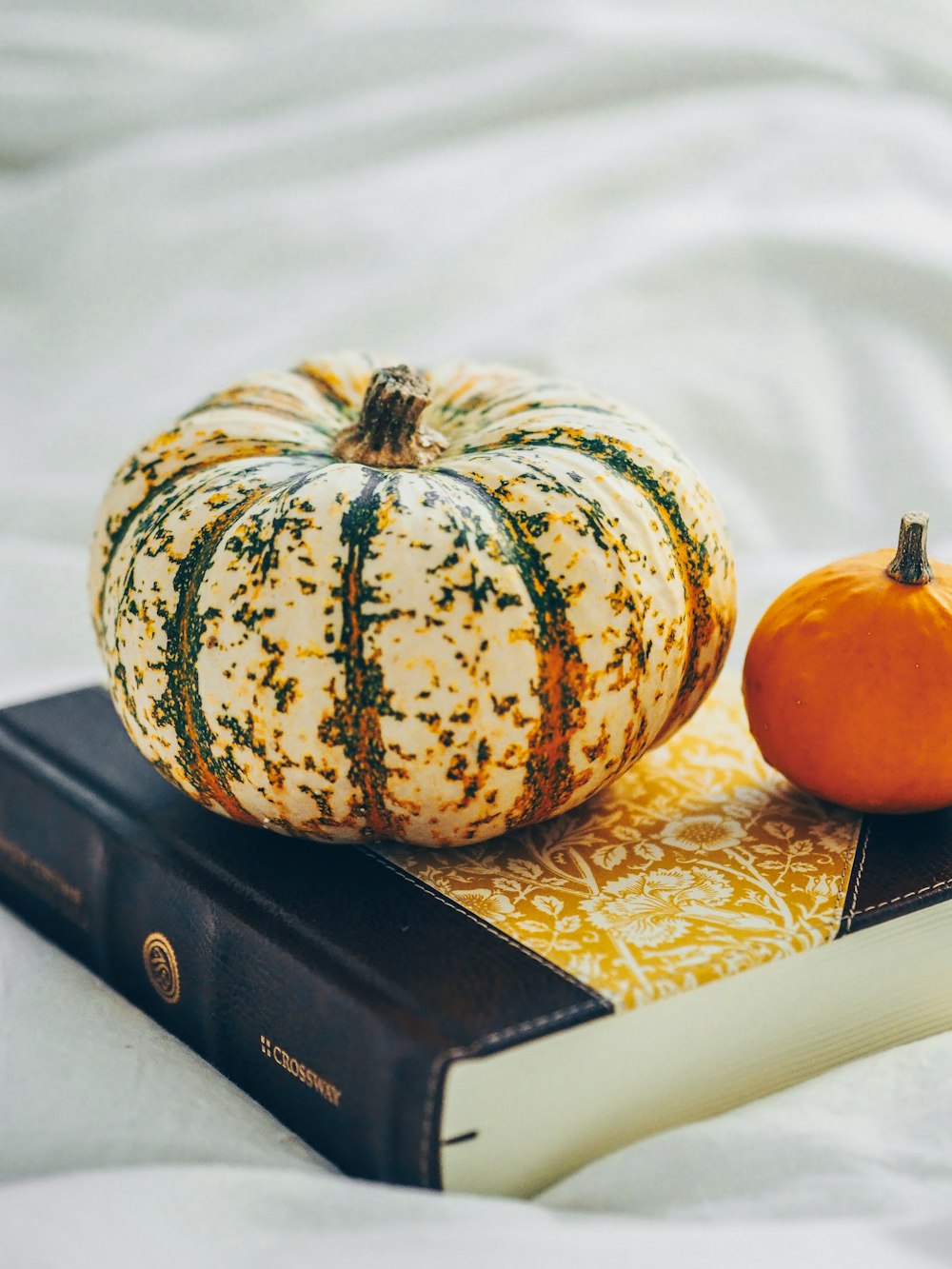 orange and green pumpkin on white and blue floral table cloth