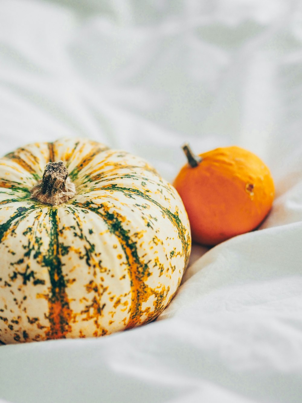 orange and white pumpkin on white textile