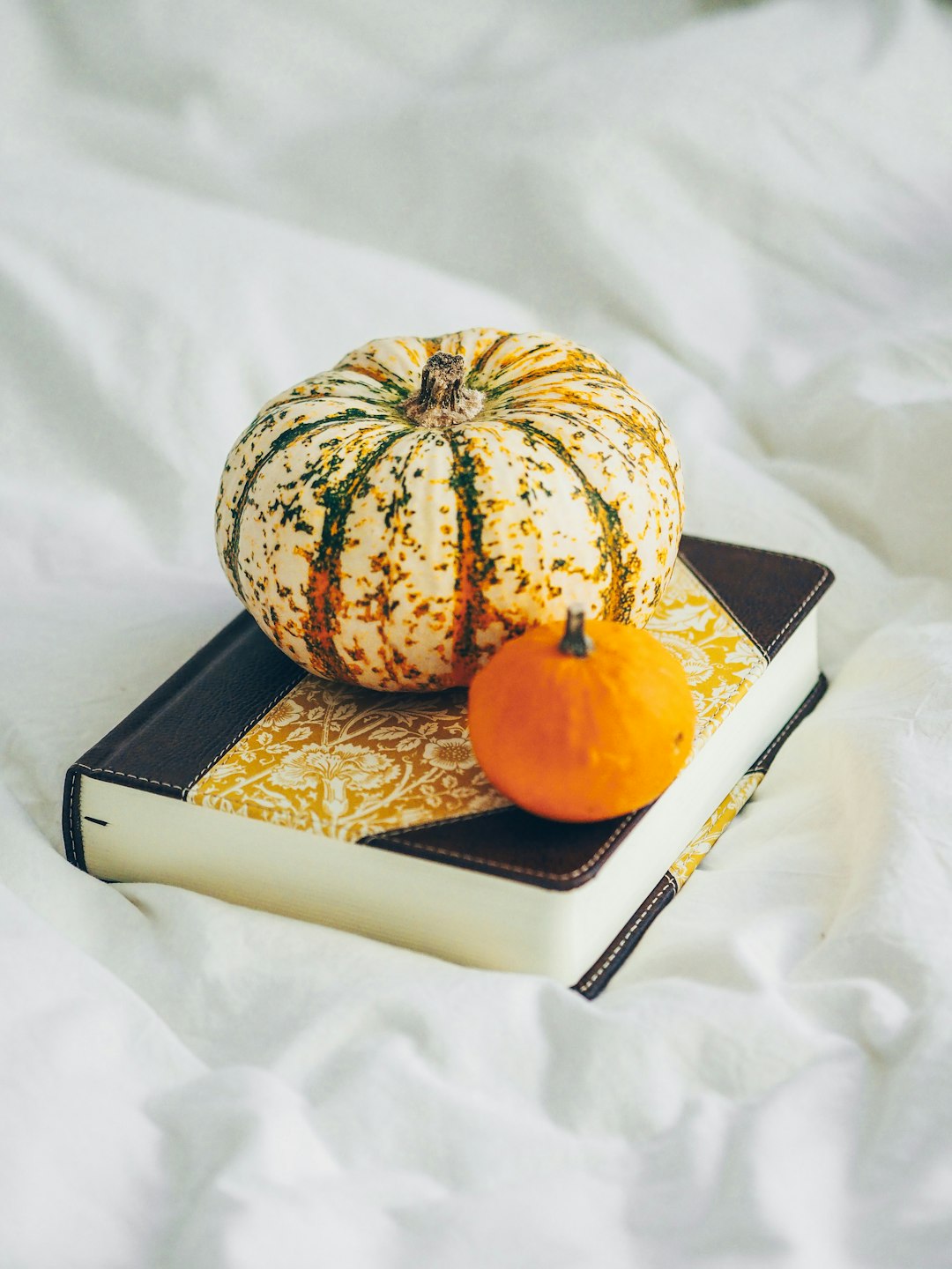 orange and green pumpkin on white tray