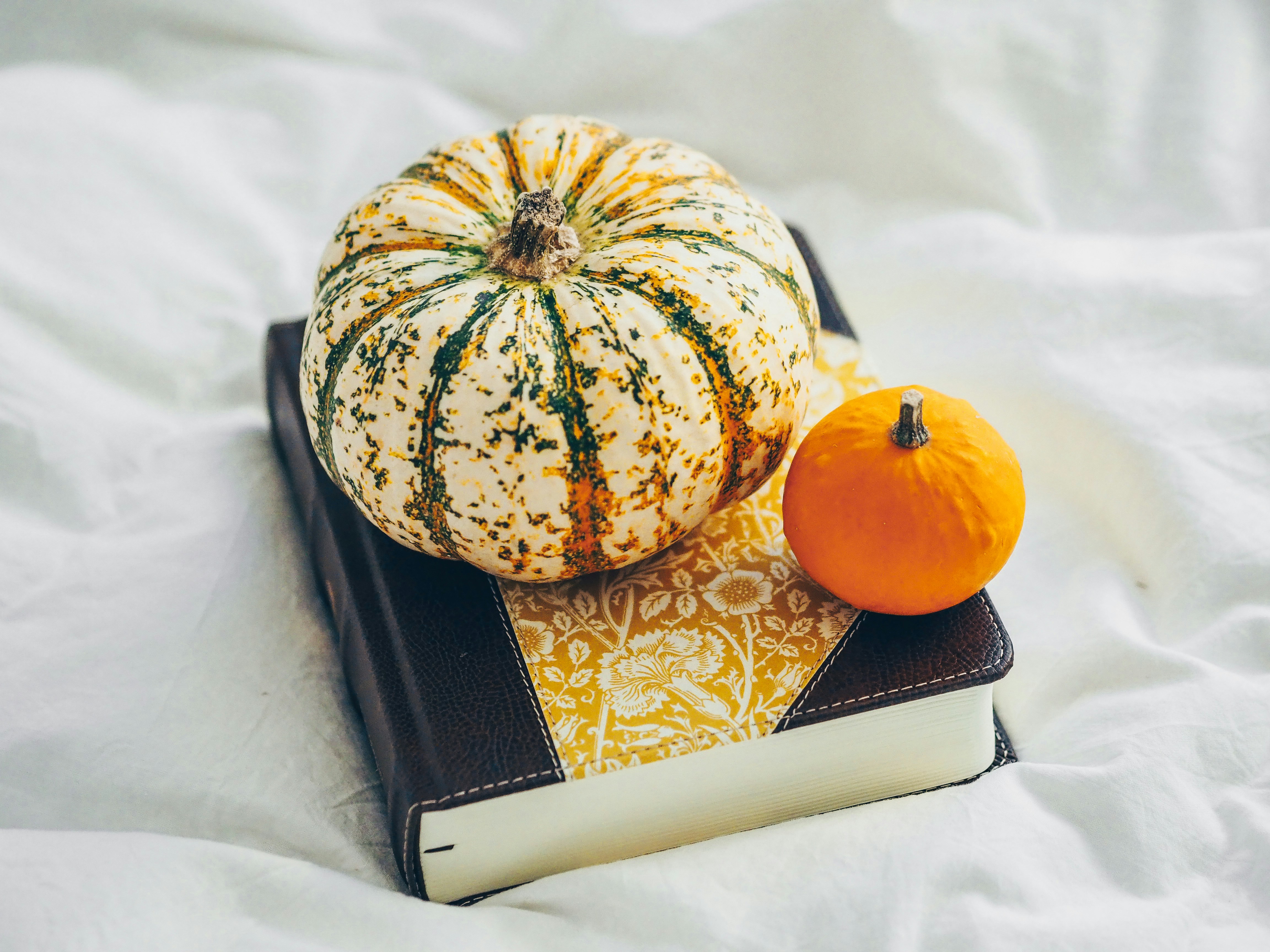 Photo by laurachouette