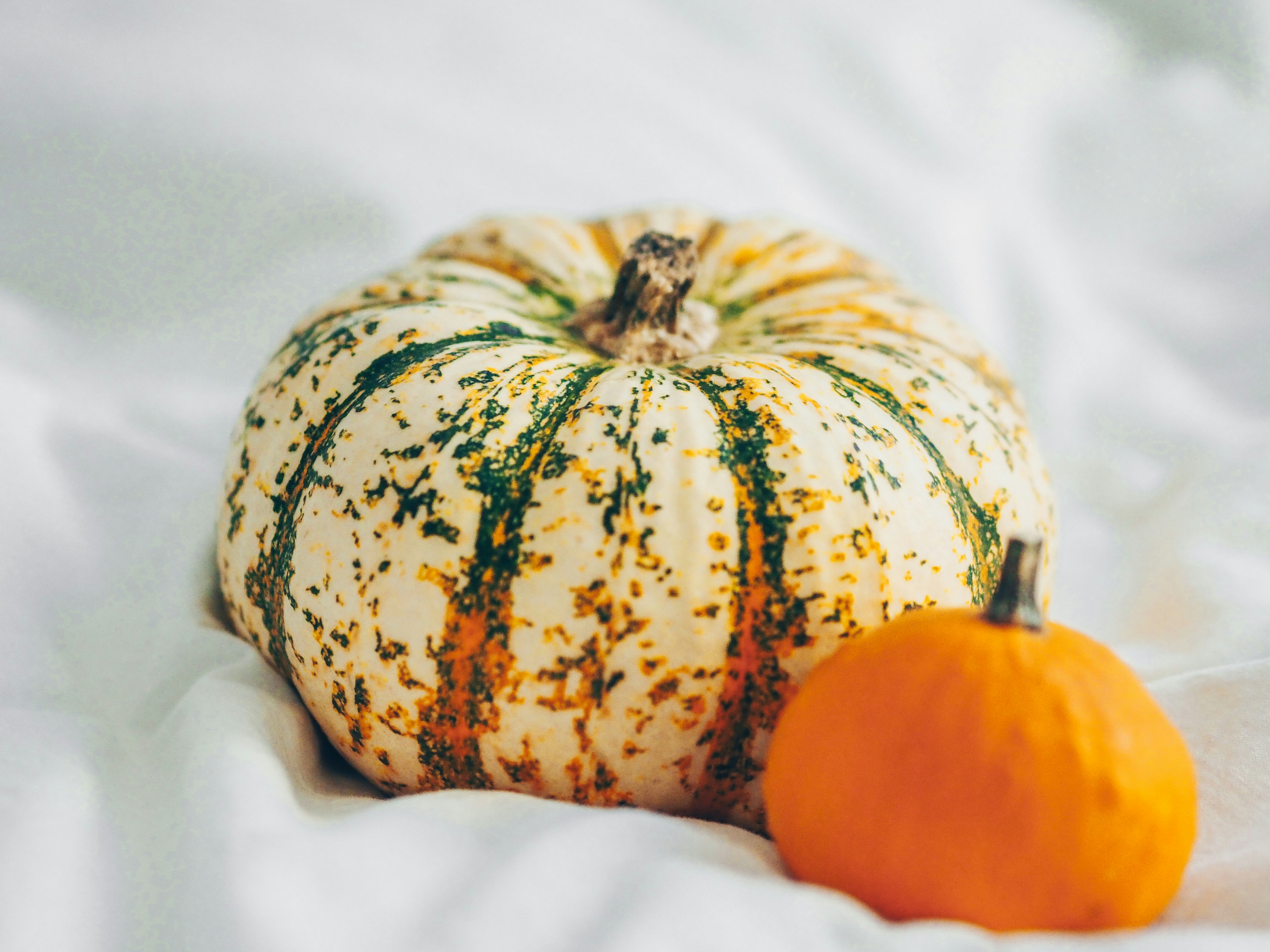 Photo by laurachouette