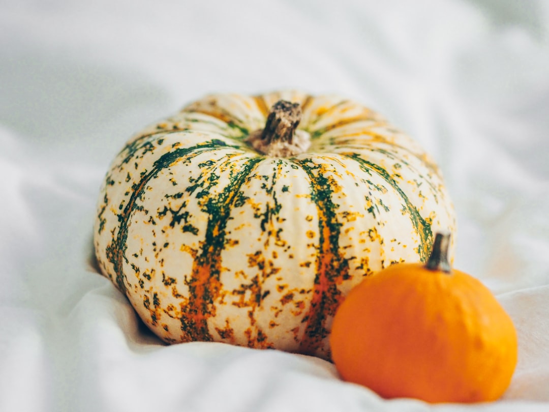 orange and green pumpkin on white textile