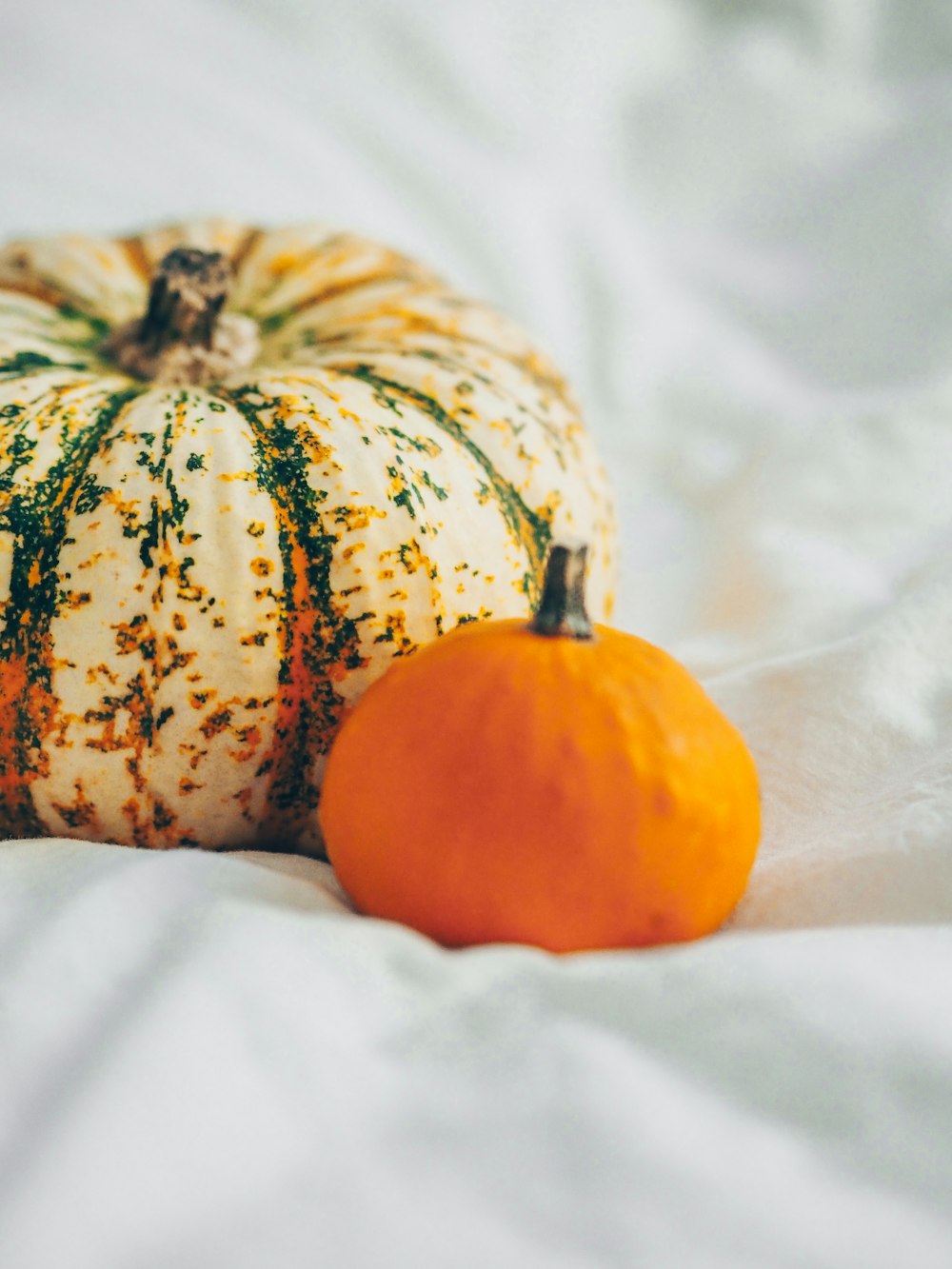 orange and green pumpkin on white textile