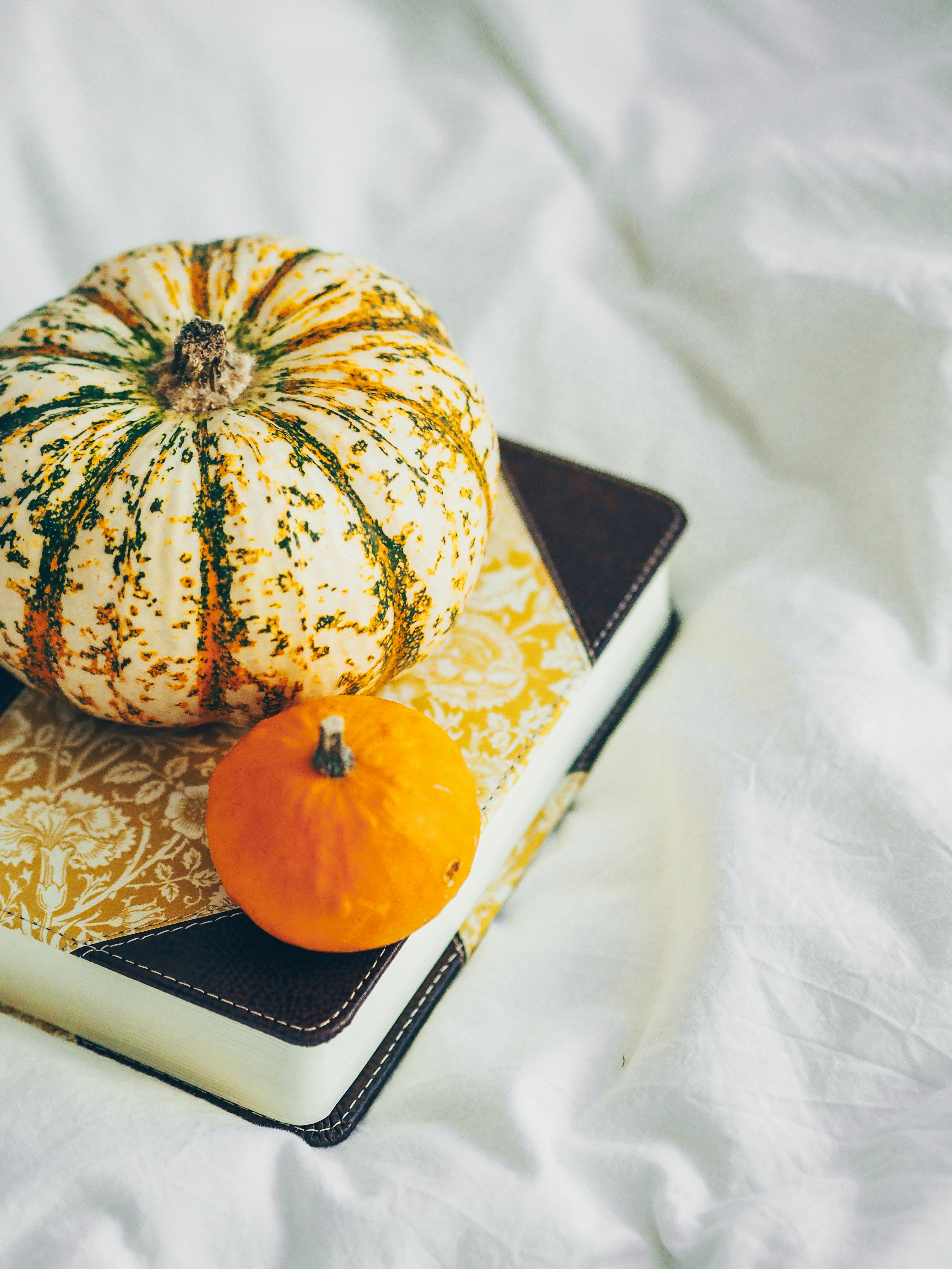 Photo by laurachouette