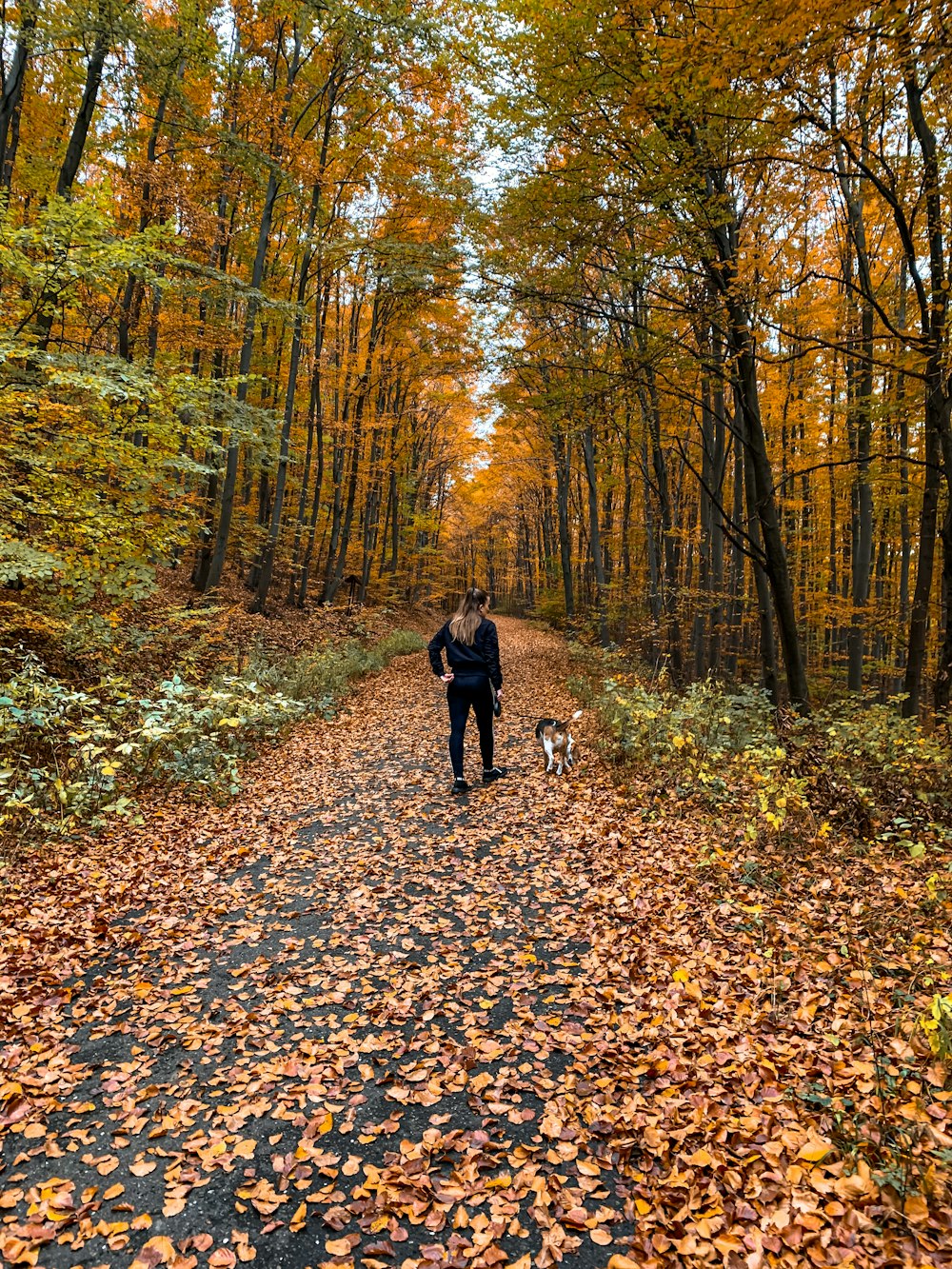 person in black jacket and black pants walking on brown dried leaves on ground