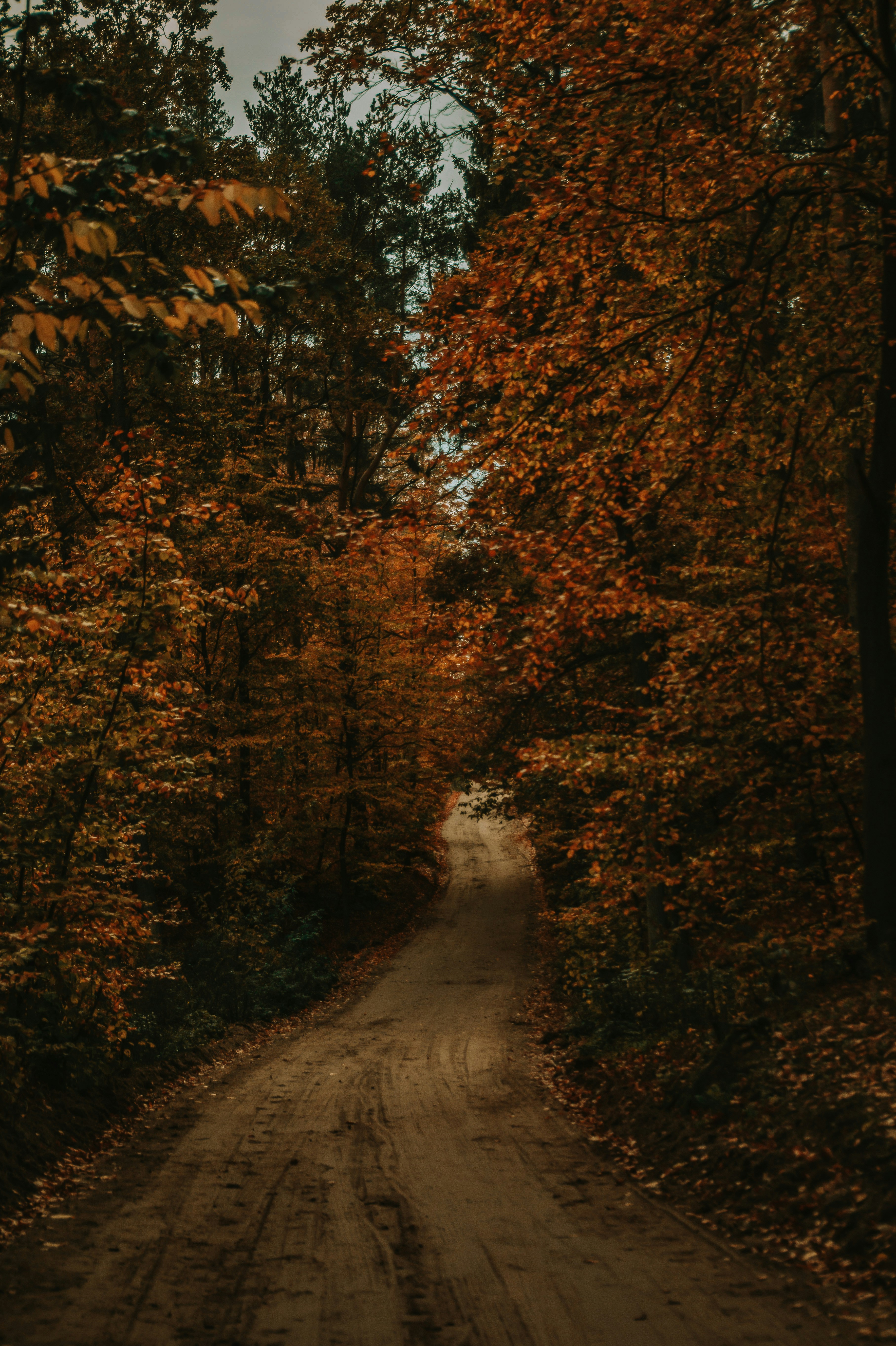 Photo by lindachrphotography