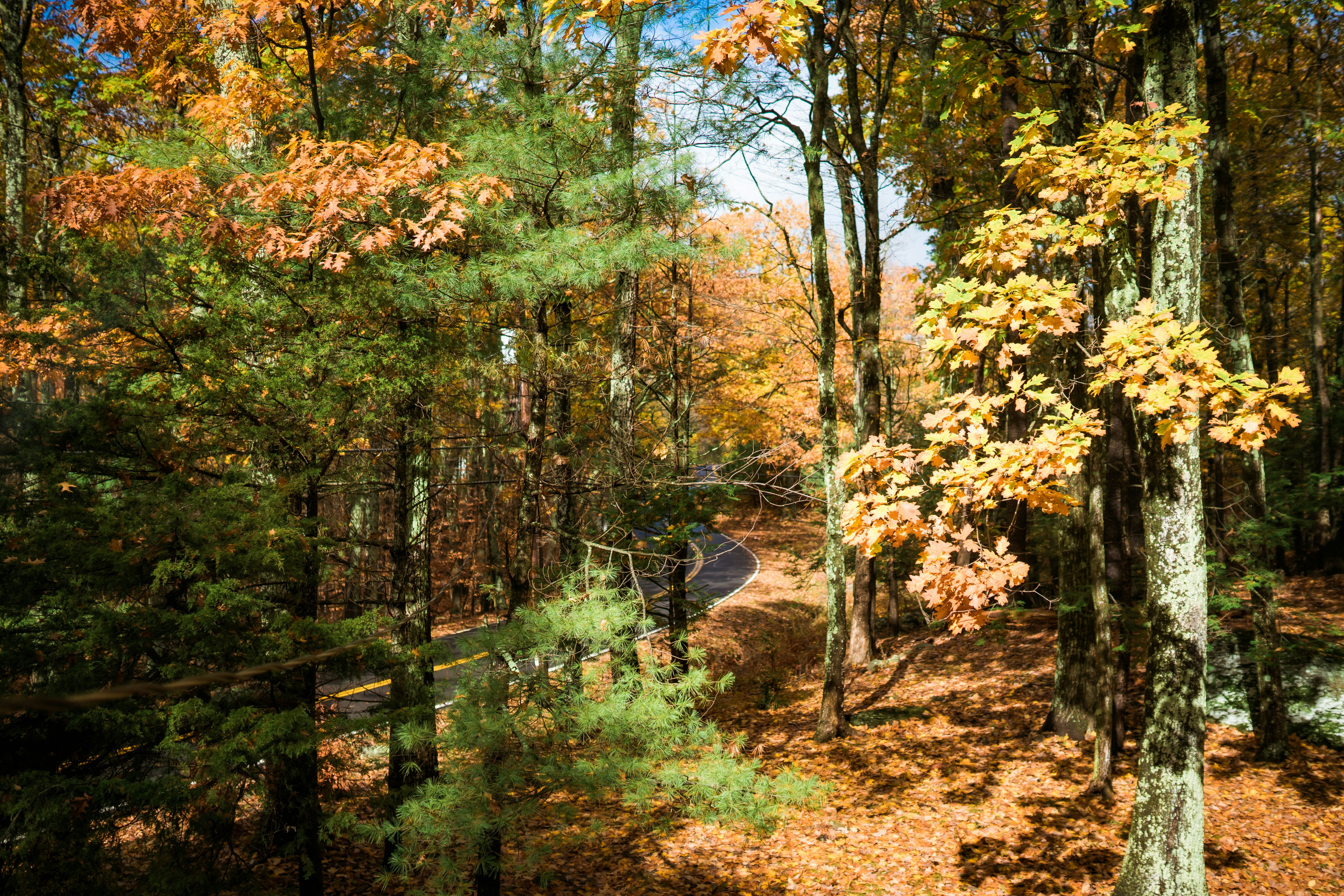 Photo by lauraperuchi