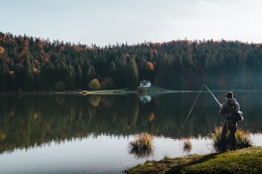 person fishing among green trees beside a lake