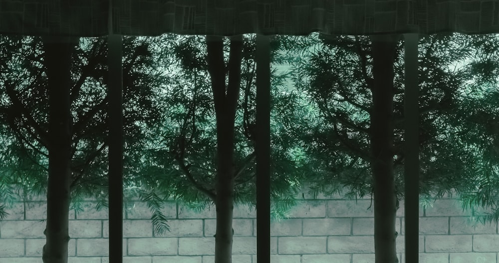 árboles verdes en una pared de hormigón blanco