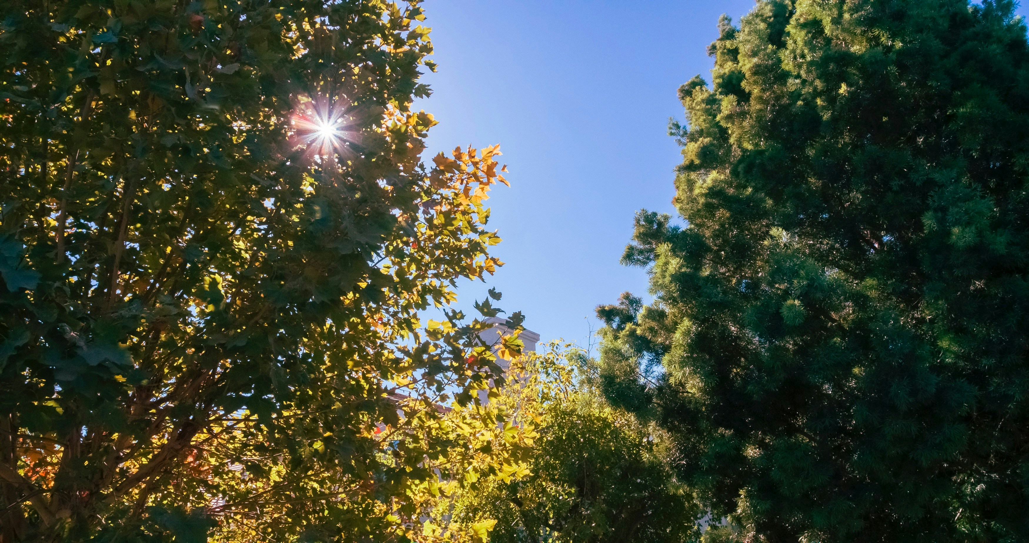 Photo by _nickwright_