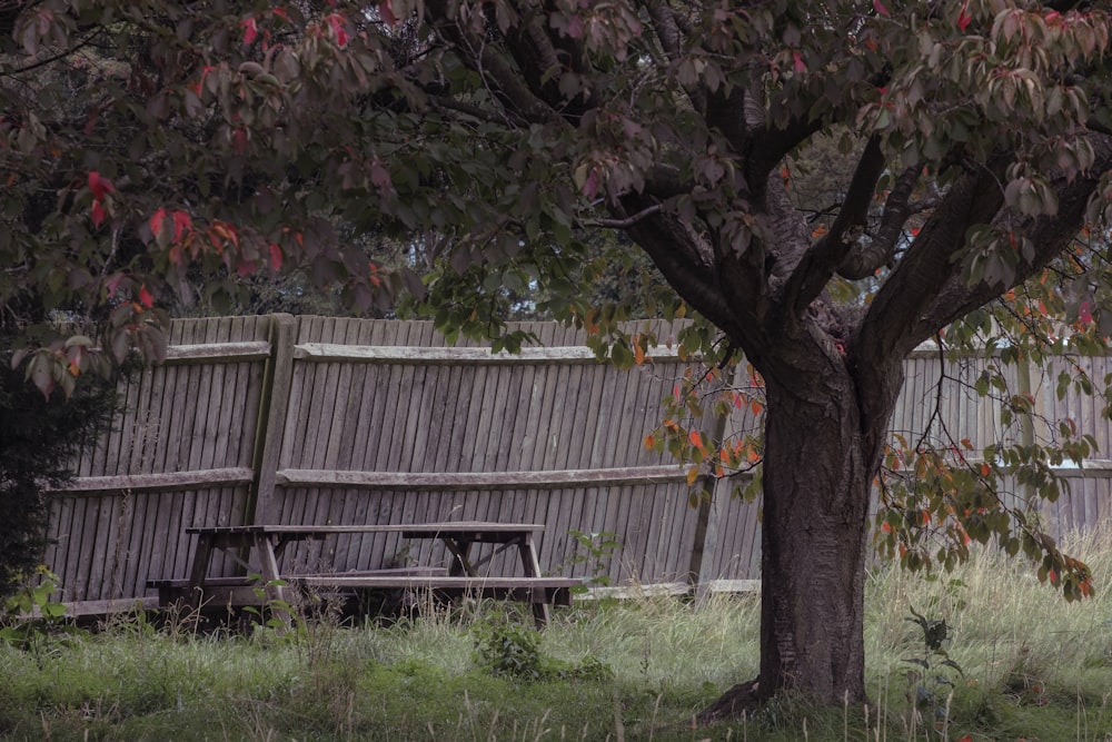 brown wooden bench on green grass field