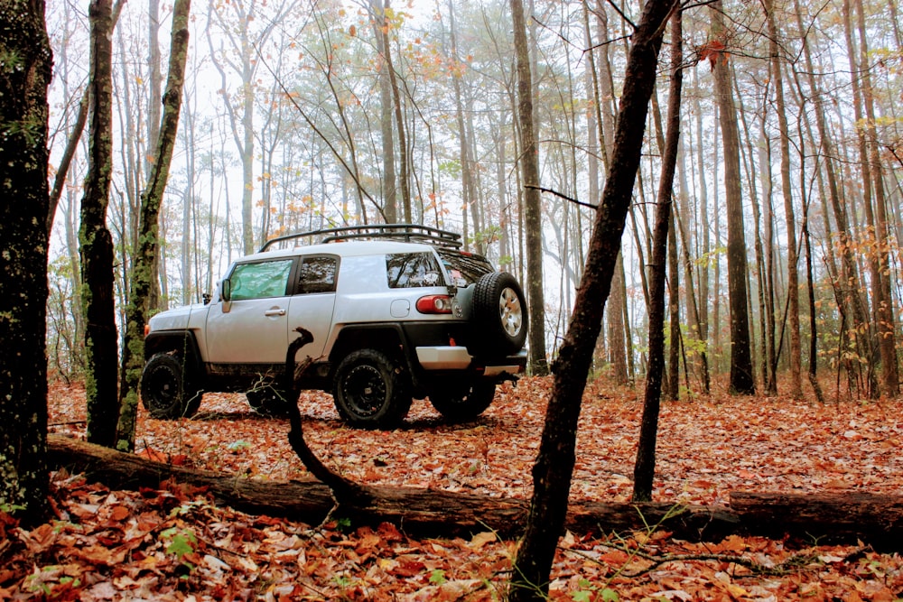 white suv in the middle of the woods during daytime