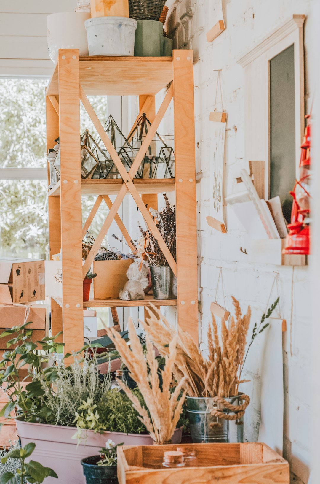 brown wooden ladder near green plants