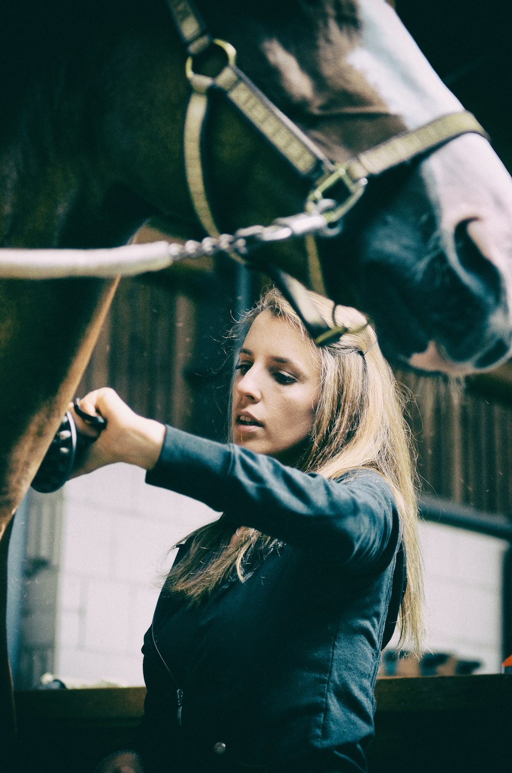 woman in black leather jacket holding black horse