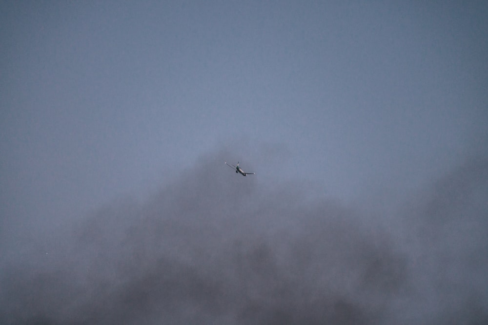 black bird flying under blue sky during daytime