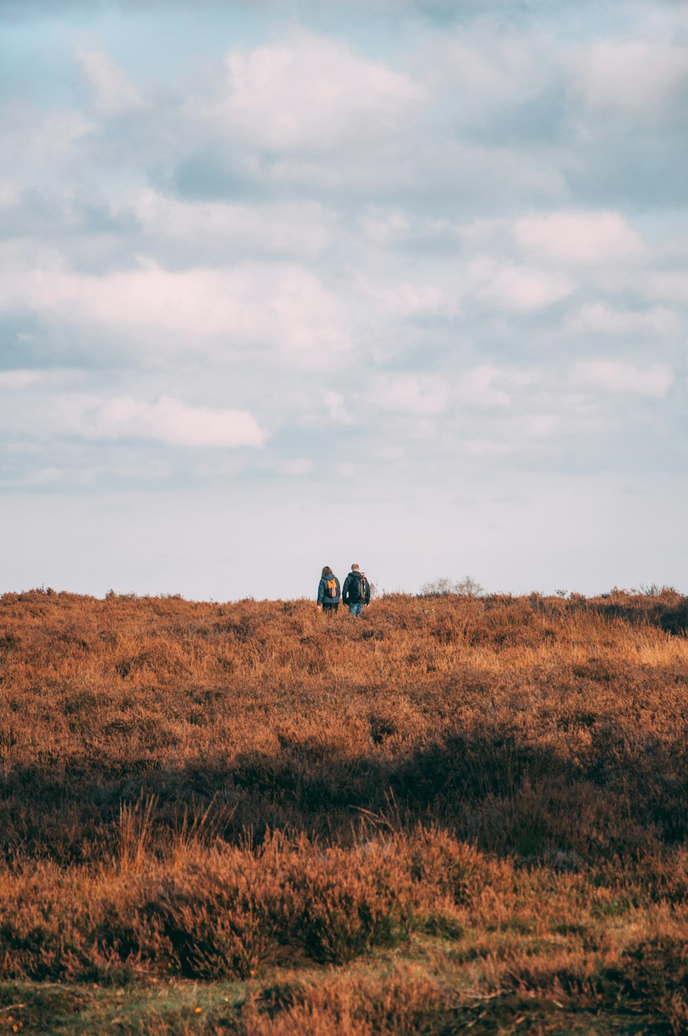 person in blue jacket and black pants sitting on brown grass field under white clouds during