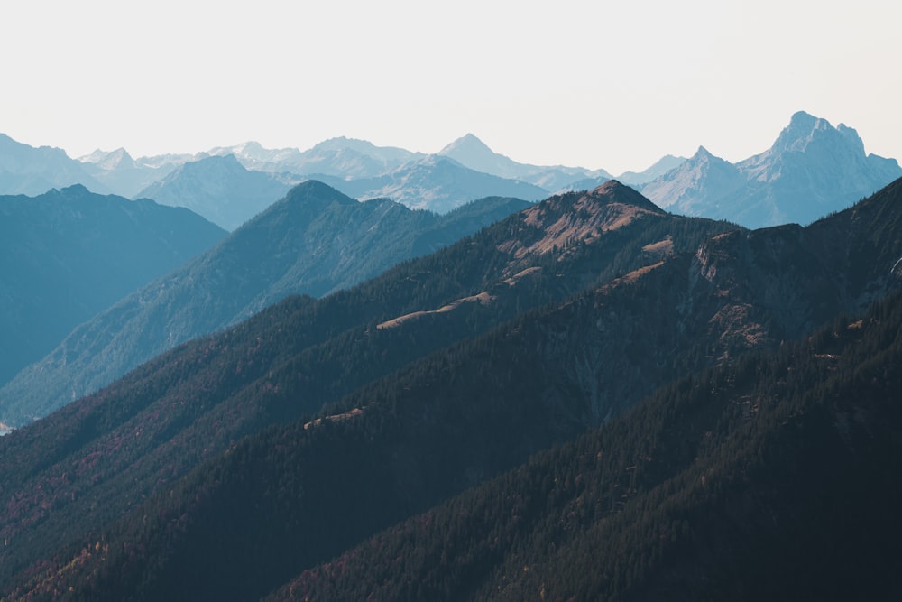 green and brown mountains under white sky during daytime