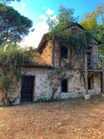 A rustic stone cottage features a wooden door and window frames surrounded by climbing plants. The roof is made of red tiles and the path leading to it is cobbled with stones. The structure is set in a lush natural setting with trees and foliage surrounding it, under a partly cloudy sky.