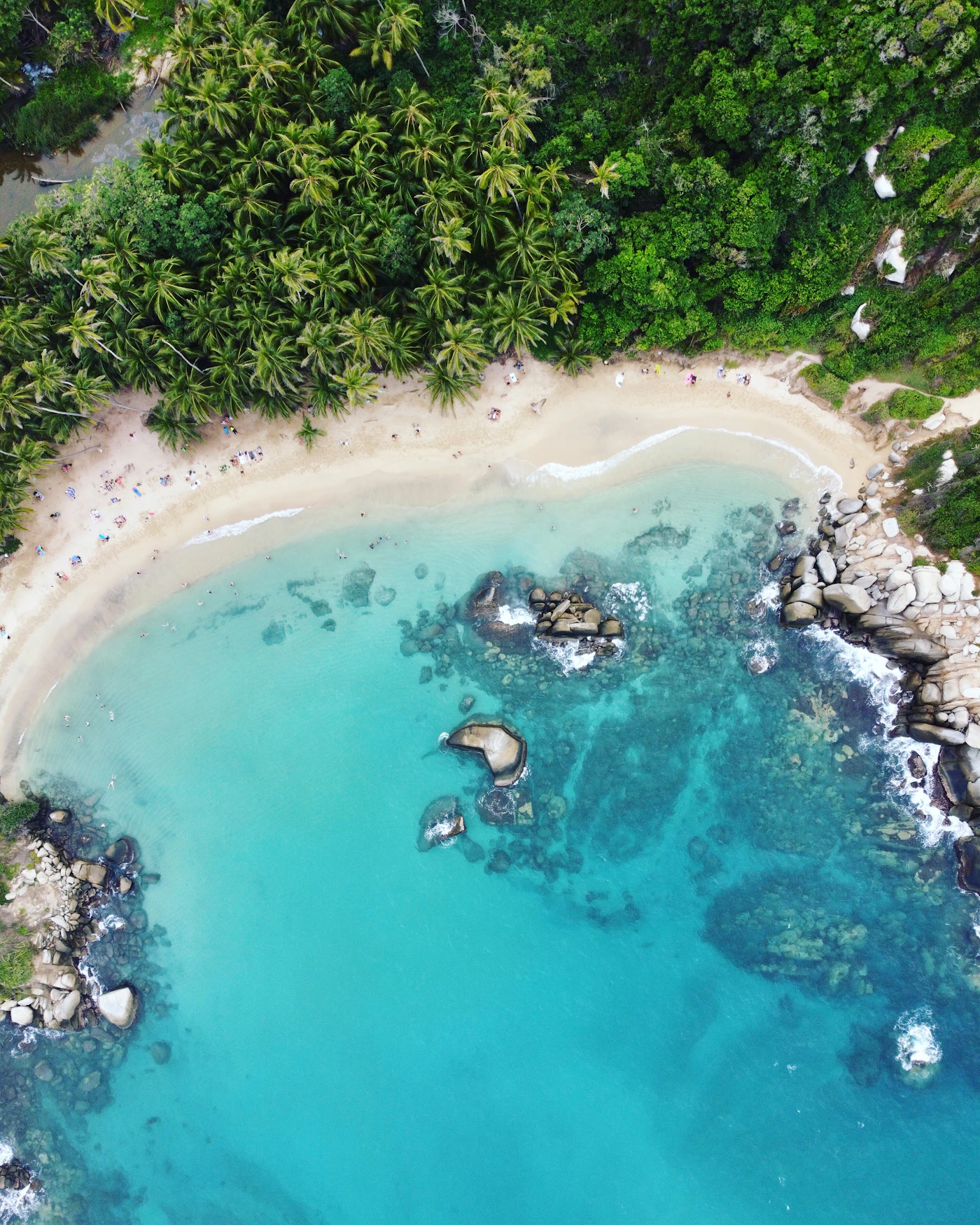 An aerial view of a turquoise Tayrona cove fringed by coconut jungle