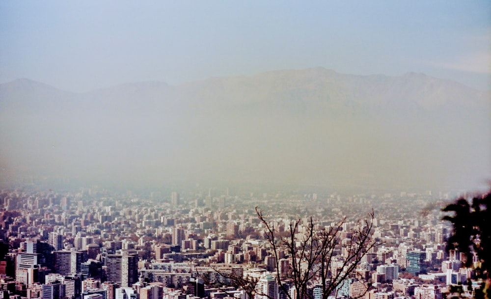 city skyline under white sky during daytime